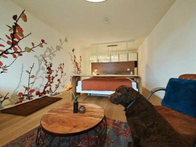 Artroom Boarding Apartment Bissendorf Exteriér fotografie
